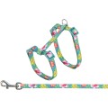 Set Ham si Lesa pentru Pisici, 27-45 cm/10 mm, 1.20 m, Diverse Culori