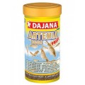 Artemia Eggs Profi 1 l