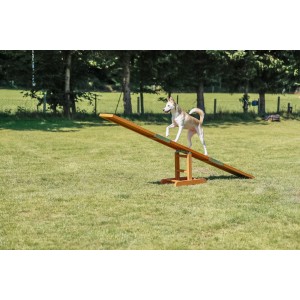 Balansoar pentru Caini, Fun Agility, 300 x 54 x 34 cm, Pana la 80 kg