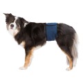 Banda (Incontinenta Urinara) Pentru Caini Masculi, Marime XL: 65-75 cm