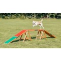 Barna pentru Caini, Fun Agility, 456 x 64 x 30 cm, Pana la 80 kg