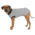 Body Protectie pentru Caini, Gri, Bumbac, Marime L-XL: 62 cm
