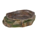 Bol pentru Reptile,10 x 2.5 x 7.5 cm