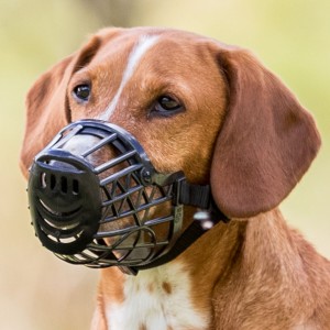 Botnita Plastic, Negru