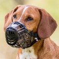 Botnita Plastic, Negru