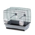 Colivie Natalia 1 Gri/Negru