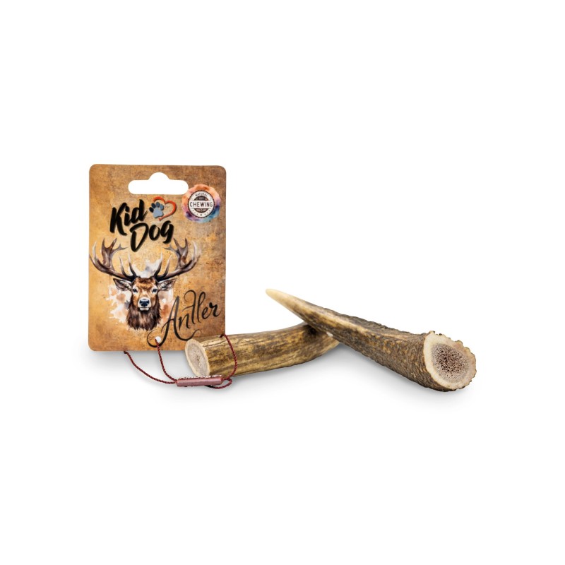 Corn de Cerb, M: 51-80g