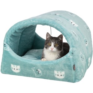 Culcus Mimi, 42 x 35 x 35 cm, Salvie