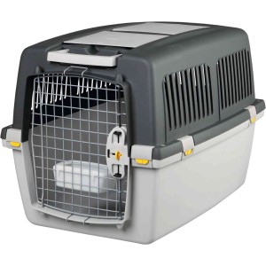 Genti & Cusca Transport