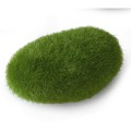Decor Minge din Muschi, M: 10 x 6.5 x 5 cm