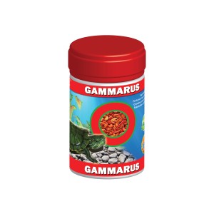 Exo Gammarus