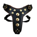 Ham Bijou, Piele Naturala, Culoare Negru/Portocaliu, Produs Redus, Marime L-XL