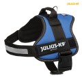 Ham Julius-K9, Albastru
