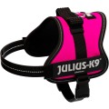 Ham Julius-K9 Mini, Fucsia