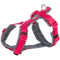 Ham Premium Trekking, Fucsia/Grafit