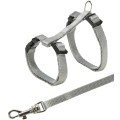 Ham Si Lesa Pentru Pisici Junior, 19-31 cm/8 mm, 1.20 m, Diverse Culori