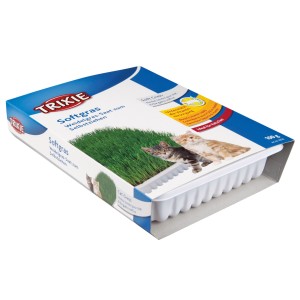 Iarba Pisicii Soft