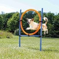 Inel pentru Caini, Fun Agility, Plastic, 115 x 3 cm, 65 cm