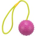 Jucarie Caini, Minge Pe Sfoara, Cauciuc, Culoare Lime/Roz, Dimensiune ø 7/30 cm