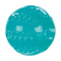 Jucarie Pentru Caini, Denta Fun, Minge, Aroma Menta, TPR, 6 cm