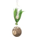 Jucarie Pentru Pasari, Nuca De Cocos Pe Franghie, 35 cm