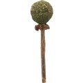 Jucarie Pentru Pisici, Matatabi Cu Minge De Catnip, 11 cm