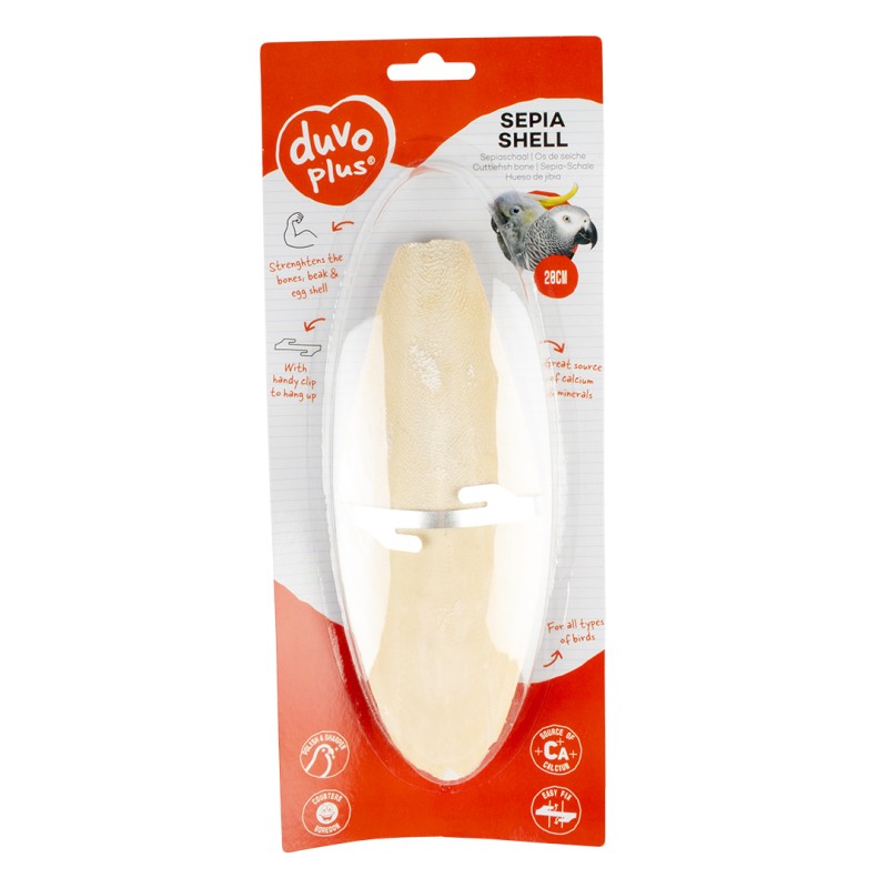 Os de Sepie, 20 cm