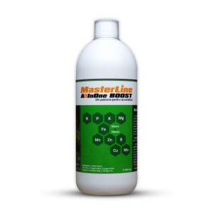 Masterline All in One Boost, 1000 ml