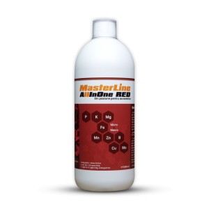 MasterLine All In One Red, 1000 ml