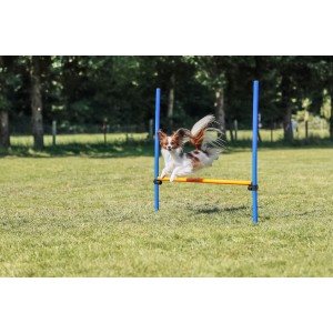 Obstacol pentru Caini, Fun Agility, Plastic, 123 x 115 cm