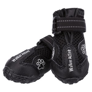 Pantofi
