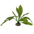 Planta Artificiala Echinodorus 2 Verde 24 cm
