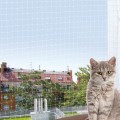 Plasa de Siguranta pentru Geam, 3 x 2 m, Transparent
