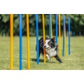 Slalom pentru Caini, Fun Agility, Plastic, 3 x 115 cm, 12 buc