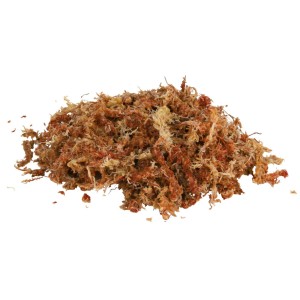 Substrat Tropical Pentru Terariu,100 g