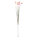 Undita pentru Pisici de Craciun, cu Clopotel, 31 cm