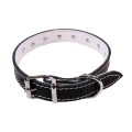 Zgarda Exo cu Ornament Buline L0-L6, Pasla, Piele, Negru, Dimensiune L2: 45/2 cm