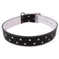 Zgarda Exo cu Ornament Buline L0-L6, Pasla, Piele, Negru, Dimensiune L6: 74/4 cm