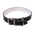 Zgarda Exo L0 -L6, Pasla, Piele, Negru, Dimensiune L4: 62/3 cm