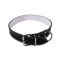 Zgarda Exo L0 -L6, Pasla, Piele, Negru, Dimensiune L6: 74/4 cm