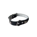 Zgarda Piele Naturala, cu Accesorii Bulldog, 25 mm x 40 cm, Negru
