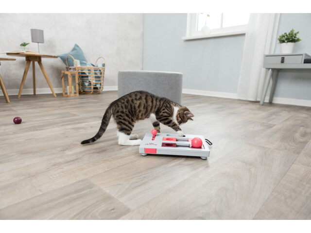 Jucarie Cat Activity, Brain Mover, 25 x 20 cm, 4596