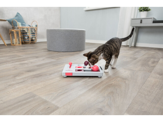Jucarie Cat Activity, Brain Mover, 25 x 20 cm, 4596