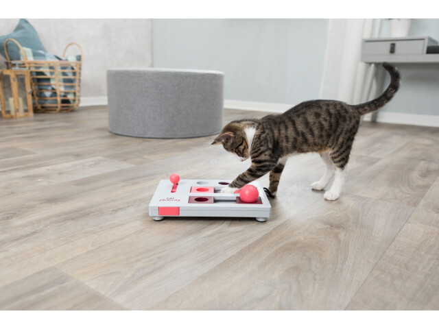 Jucarie Cat Activity, Brain Mover, 25 x 20 cm, 4596