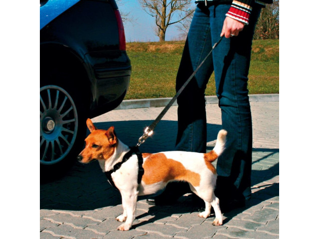 Centura De Siguranta Auto Pentru Caini, XS-S: 30-45 cm/20 mm, Negru, 12771	