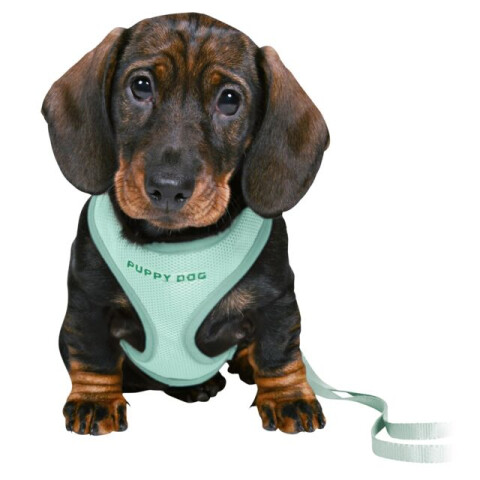 Ham Si Lesa, Soft, Pentru Caini Juniori, S-M: 26-34 cm/10 mm, 2.00 m, Verde Menta, 15565	
