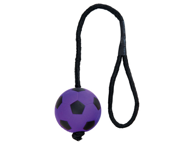Jucarie Pentru Caini, Minge Sport Pe Sfoara, 6/30 cm,  3459