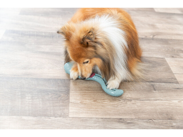 Jucarie Pentru Caini, Sarpe Pentru Recompense, 27 cm, 34931