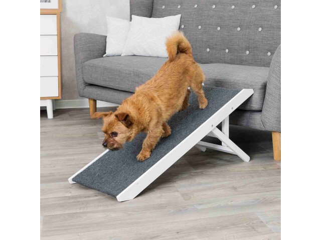 Rampa Ajustabila, Pana La 40 kg, 36x43x90 cm, Alb, 39375