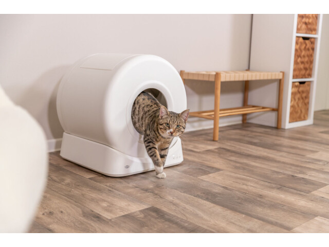 Litiera Cu Autocuratare Pentru Pisici, 51x56 x54 cm, Alb, 40050